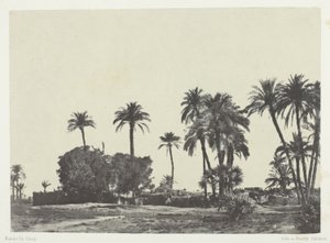 Village of Hamameh, Upper Egypt