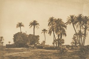 View of the Village of Hamarneh, near Dendera Right Bank, 1849-50