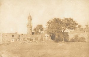 View taken at Beni-Souef, 1850