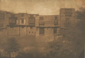 View from a Garden in the French Quarter, Cairo by Maxime Du Camp