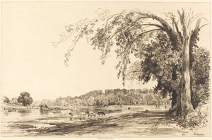 Richmond by Maxime Lalanne