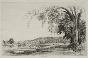 Richmond by Maxime Lalanne