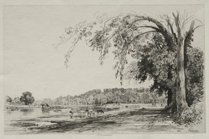 Richmond by Maxime Lalanne