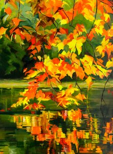 Vibrant Autumn Reflection by Maxine Shore
