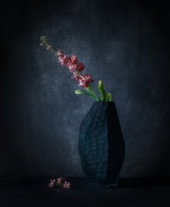 Dark Floral Elegance by May G