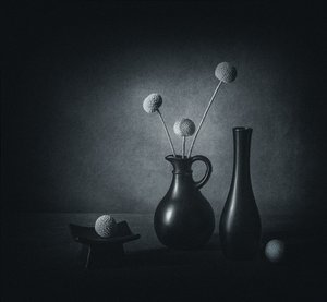 Dark Floral Still Life by May G