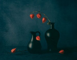 Moody Chinese Lanterns by May G