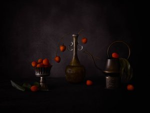 Rustic Berry Still Life by May G