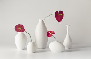 Serene Anthurium Arrangement by May G