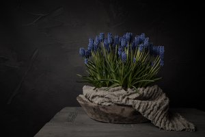 Rustic Blue Flowers by Mayra Pama