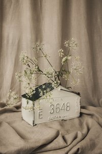 Rustic Botanical Display by Mayra Pama