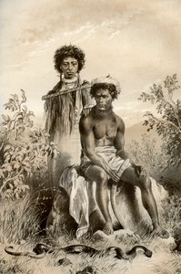 Maoris and Carpet Snake, New Zealand, 1879