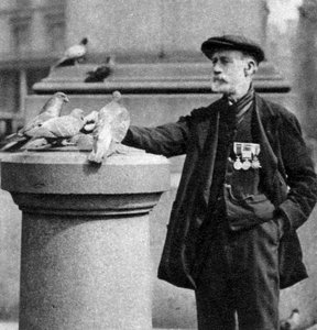 An Old Soldier with Some Pigeons, Trafalgar Square, London