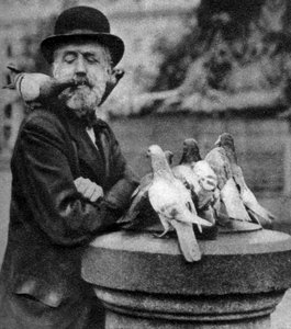Pigeons of St Pauls with a Vagrant, London