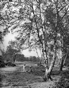 Putney Heath, London by McLeish