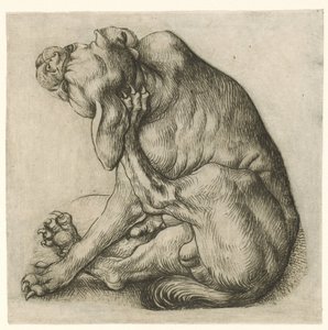 Scratching Dog by Meester van het Amsterdamse Kabinet