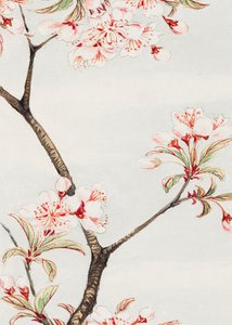 Sakura Cherry During 1870–1880 by Megata Morikaga