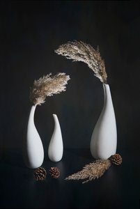 Minimalist Pampas Arrangement by Mei Su