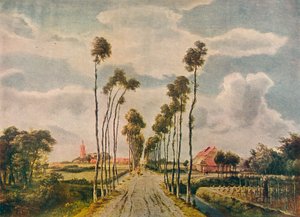 The Avenue at Middelharnis