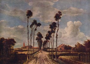 The Avenue at Middelharnis