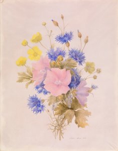 Field Flowers