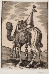 A Saddled Camel by Melchior Lorck