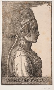 Portrait of a Sultan