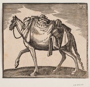 Heavily Laden Horse