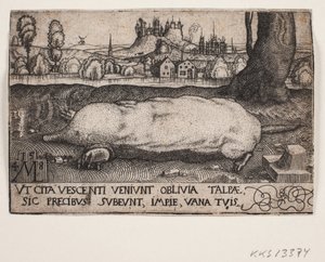 The Mole by Melchior Lorck