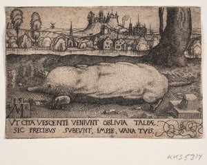 The Mole