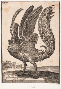 Unidentified mythical animal, harpy or siren by Melchior Lorck