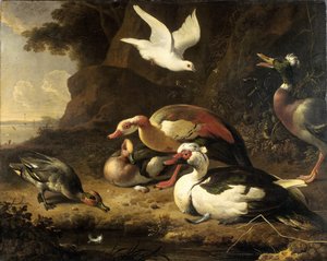 Ducks by Melchior d