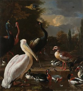 A Pelican and Other Birds by a Water Basin, known as 