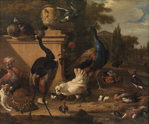 Hen Run at a Manor