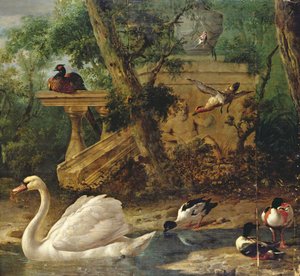 Birds in a Garden by Melchior de Hondecoeter
