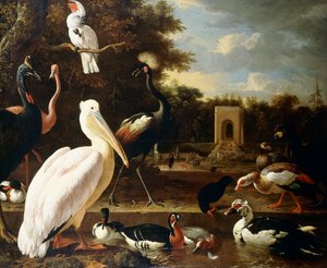 Many Different Types of Birds at a Pool in a Park by Melchior de Hondecoeter