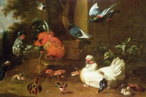 Poultry in Parkland