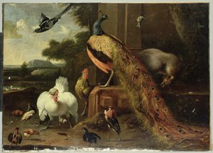 Revolt in the Poultry Coup