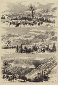 The War in the Herzegovina