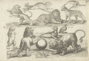 Study Sheet with Drawing Examples: Various Animals by Michael Snijders