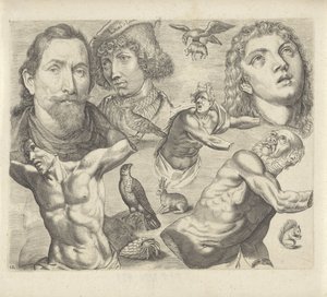 Study Sheet with Drawing Examples: Heads, Torso, and Animals (Drawing Examples series) by Michael Snijders