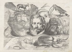Study Sheet with Drawing Examples: Portraits, Animals, Insects