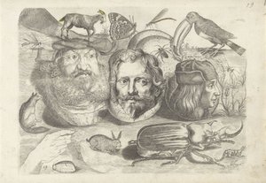 Study Sheet with Drawing Examples: Portraits, Animals, Insects