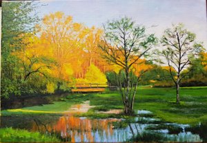 Flooded Field in Gironde by Michel Bultet