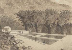 The Reservoir at Maraval by Michel Jean Cazabon