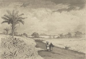 The Road to the Pitch Lake by Michel Jean Cazabon