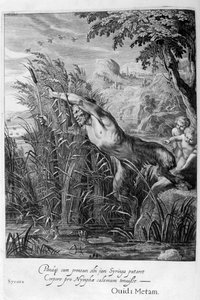 Pan Pursues Syrinx Who is Transformed into a Reed