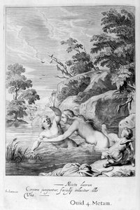 The Nymph Salmacis and Hermaphroditus