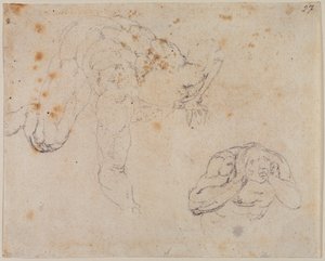Copy from the Last Judgment by Michelangelo (after) Buonarroti