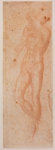 Studies of male nude by Michelangelo (after) Buonarroti